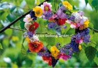 Klappkarte Bltenherz